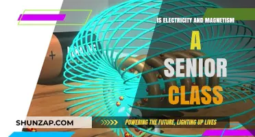 Electricity, Magnetism, and Senior Year Challenges