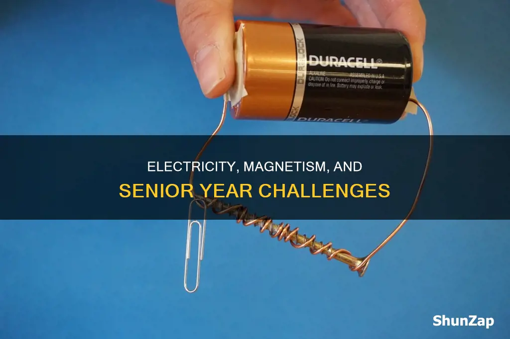 is electricity and magnetism a senior class