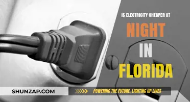 Electricity Costs in Florida: Cheaper at Night?
