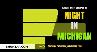 Electricity Rates in Michigan: Cheaper at Night?