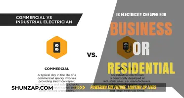 Electricity Costs: Business vs. Residential
