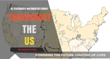 Electricity Distribution: Is It Equal Across the US?