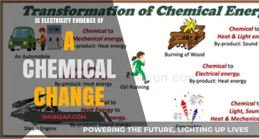 Electricity Generation: Chemical Change or Not?