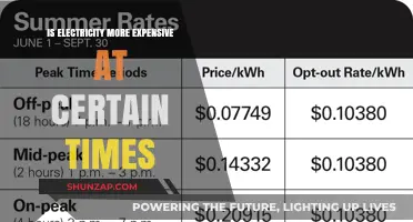 Electricity Pricing: Hourly Rates and Costly Surprises