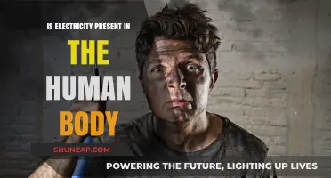 Electricity in the Human Body: How Does it Work?