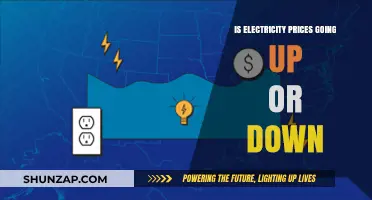 Electricity Prices: What's the Future Trend?
