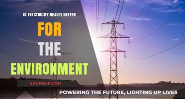 Electricity's Environmental Impact: Friend or Foe?