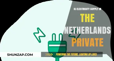 Electricity Supply in the Netherlands: Public or Private?