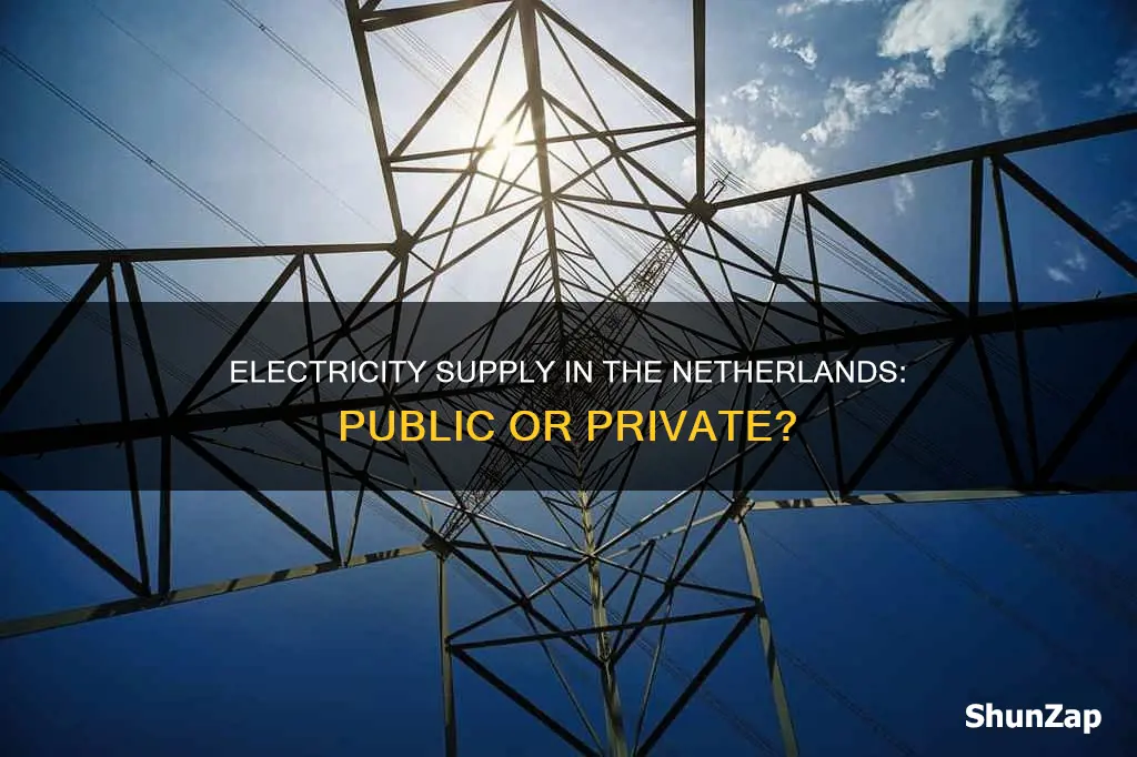 is electricity supply in the netherlands private
