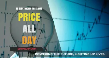 Electricity Pricing: Does Time Impact Cost?