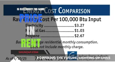 Electricity Costs: Renters and Owners, Who Pays More?