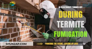 Electricity and Termite Fumigation: What You Need to Know