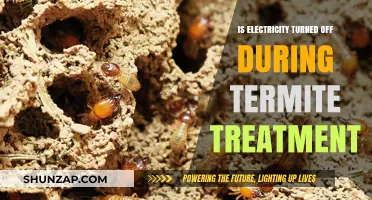 Termite Treatment: Does Electricity Need to Be Turned Off?
