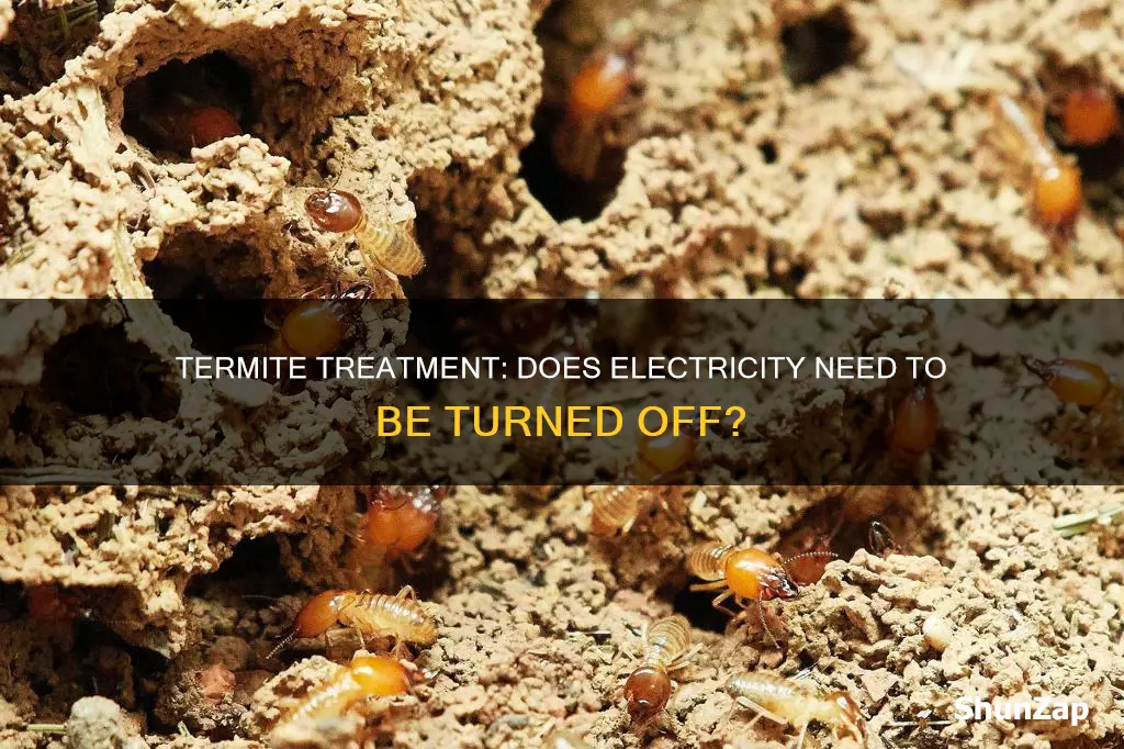 is electricity turned off during termite treatment