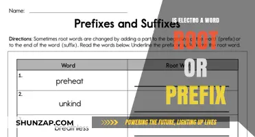 Word Roots and Prefixes: Electro's Identity