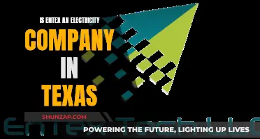 Entex: An Electricity Company in Texas?