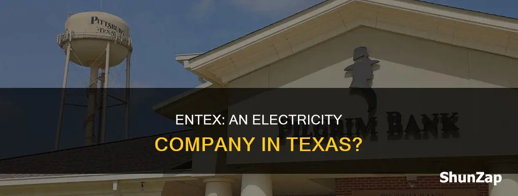 is entex an electricity company in texas