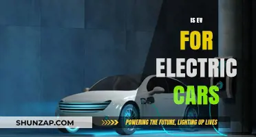 Are Electric Vehicles the Future of Sustainable Transportation?