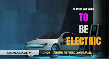 Will All Cars Go Electric? Exploring the Future of Auto Industry