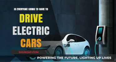 Will Electric Cars Become the Only Option for Drivers?