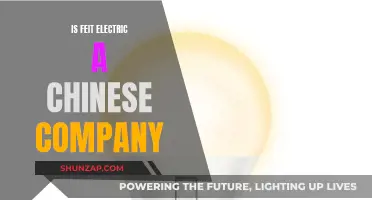 Feit Electric: Chinese-Owned Company?