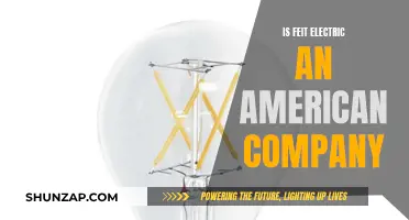 Feit Electric: An American Company?