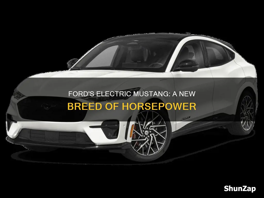 is ford building and all electric mustang