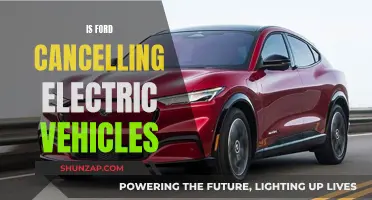 Ford's Electric Future: Rumors of Cancellation Unveiled