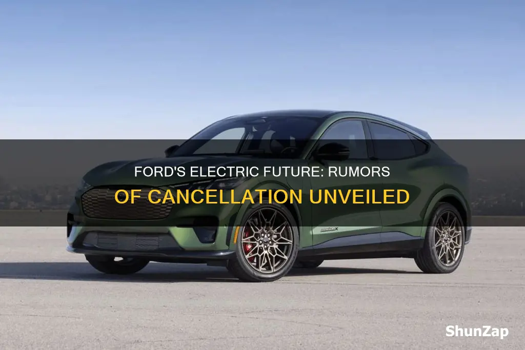 is ford cancelling electric vehicles