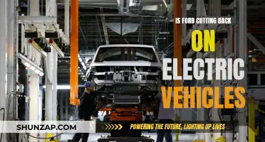 Ford's Future: Electric Vehicle Cuts and the Industry's Shift