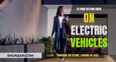 Ford's Electric Vehicle Plans: Expansion or Cutbacks?