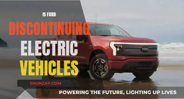 Ford's Future: Electric Vehicles in Transition