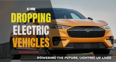 Ford's Electric Vehicle Future: Dropping or Driving Forward?