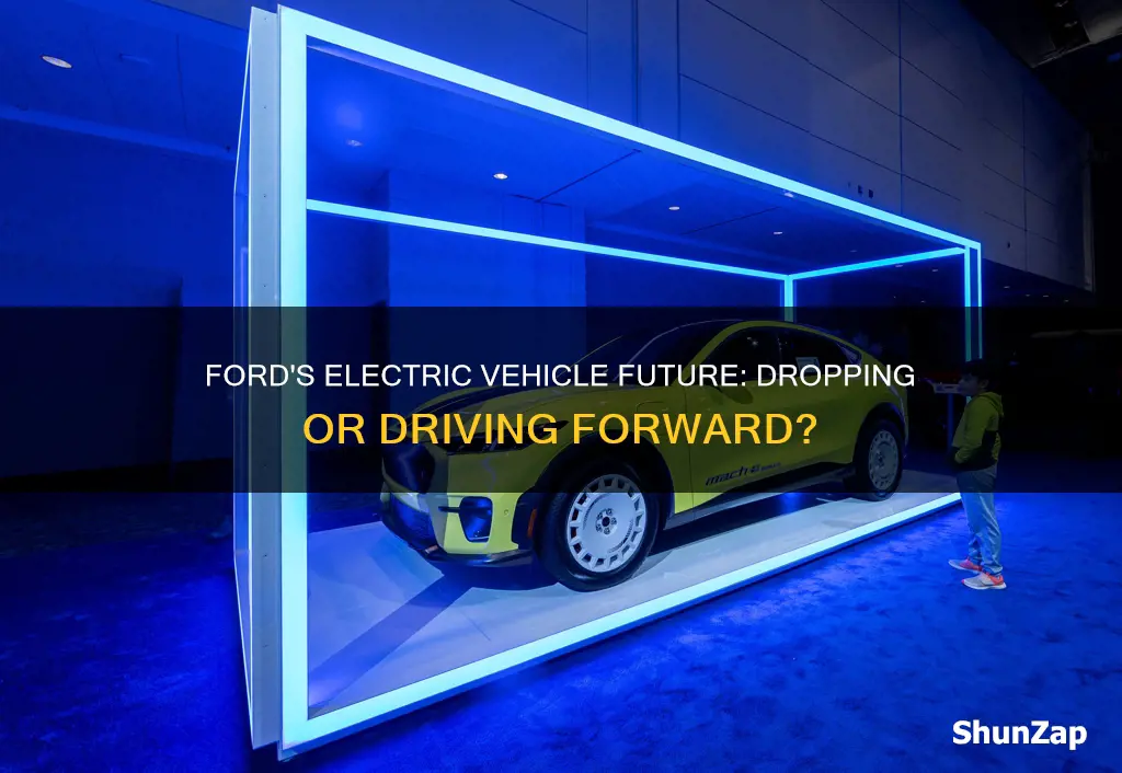 is ford dropping electric vehicles