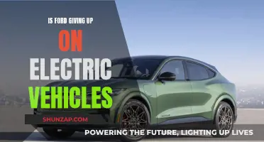 Ford's Electric Future: A Doubtful Transition?