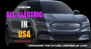 Ford's Electric Future: All-in on EVs in the USA