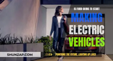 Ford's Electric Vehicle Future: What's the Plan?