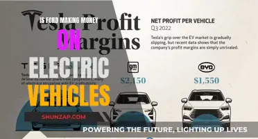 Ford's Electric Future: Profits and Prospects