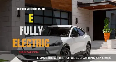 Ford Mustang Mach-E: Electric Evolution of a Classic