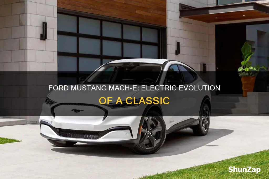 is ford mustang mach e fully electric