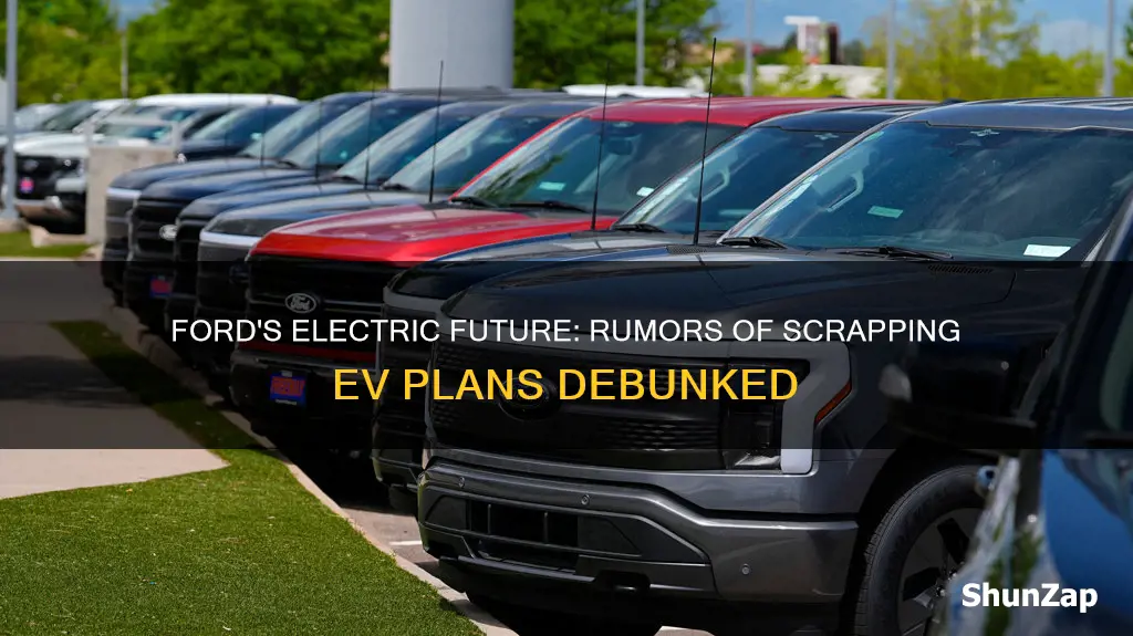 is ford scrapping electric vehicles