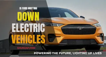 Ford's Electric Vehicle Future: Shutdown or Shift?