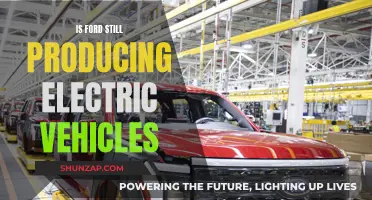 Ford's Electric Future: Still in the Works?