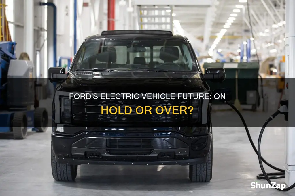 is ford stopping electric vehicle production