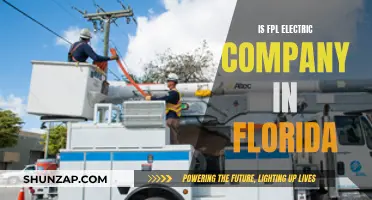 FPL: Florida's Leading Electric Company?