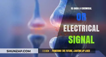 GABA: Chemical or Electrical Signal?