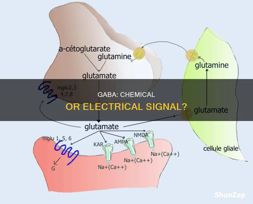 is gaba a chemical or electrical signal