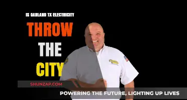 Garland, TX: City-Supplied Electricity?