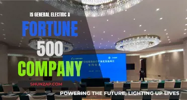 General Electric: A Fortune 500 Company?