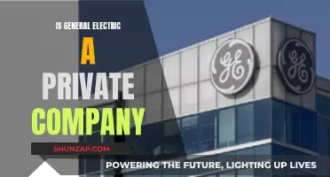 General Electric: Private or Public?